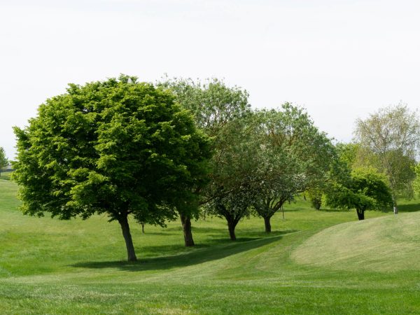 The landscape around Woolfox members club