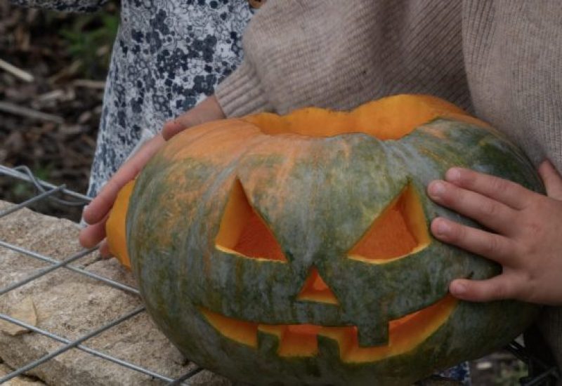 Children’s Pumpkin Carving
