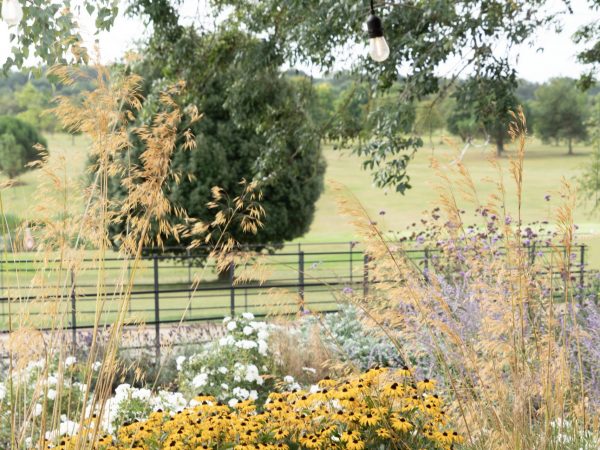 sofa with views copy