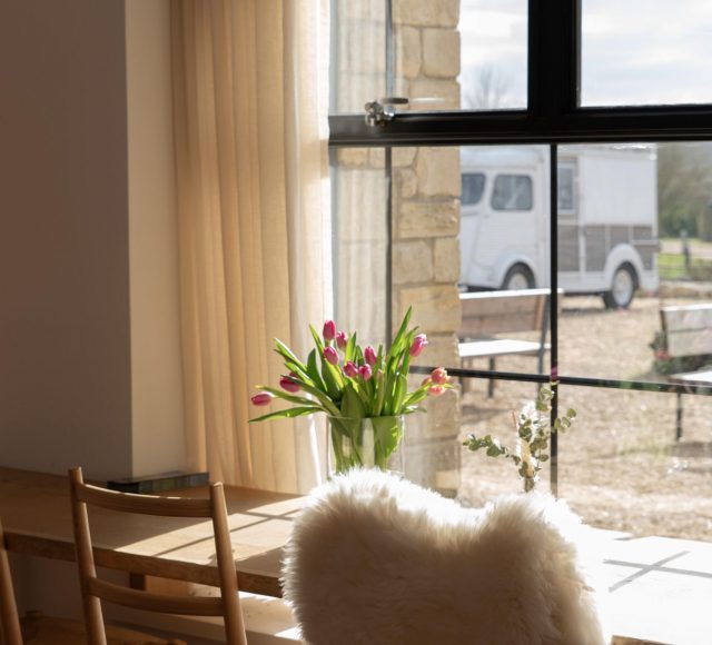 Woolfox